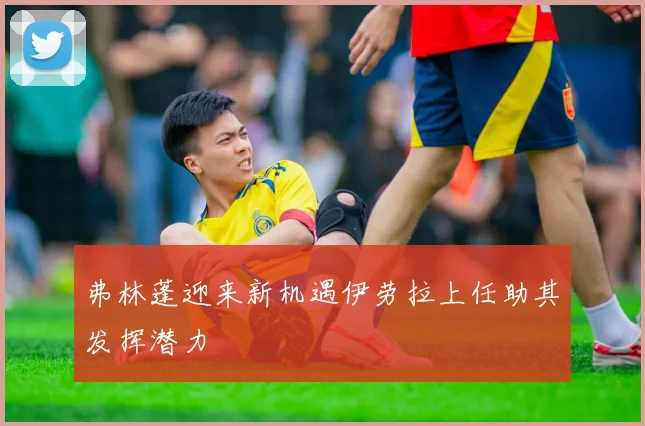 弗林蓬迎来新机遇伊劳拉上任助其发挥潜力